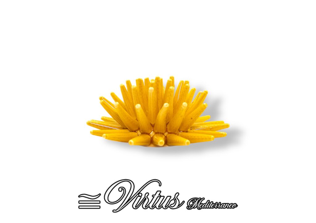 Virtus Mediterraneo: Riccio Piccolo Giallo, Ceramica d’Arte