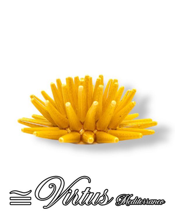 Virtus Mediterraneo: Riccio Piccolo Giallo, Ceramica d’Arte