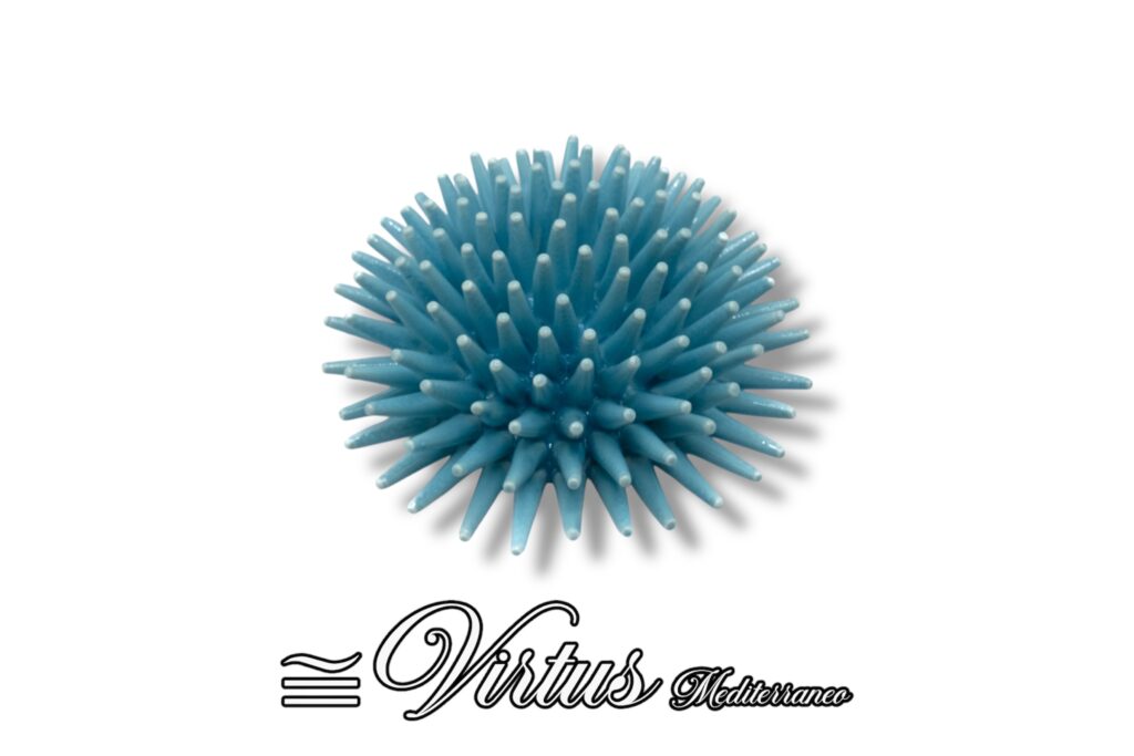 Virtus Mediterraneo: Riccio Medio Turchese, Eleganza Artigianale