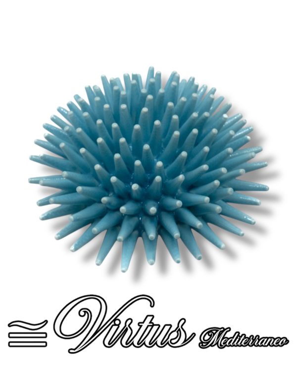 Virtus Mediterraneo: Riccio Medio Turchese, Eleganza Artigianale