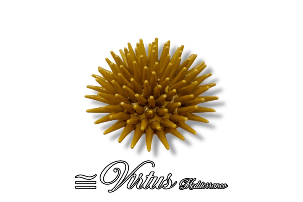 Virtus Mediterraneo: Riccio Medio Giallo in Ceramica Artigianale