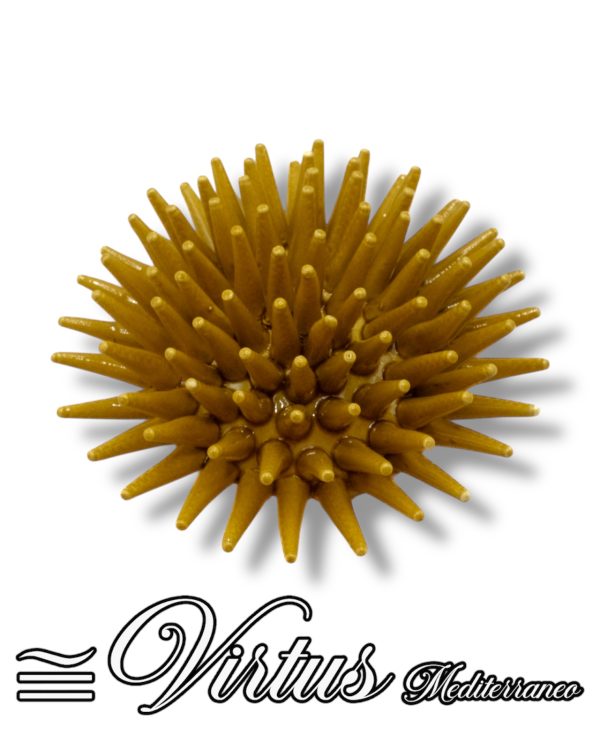 Virtus Mediterraneo: Riccio Medio Giallo in Ceramica Artigianale