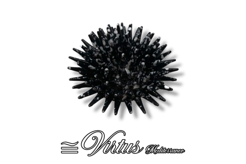 Virtus Mediterraneo: Riccio Medio Nero in Ceramica Artigianale
